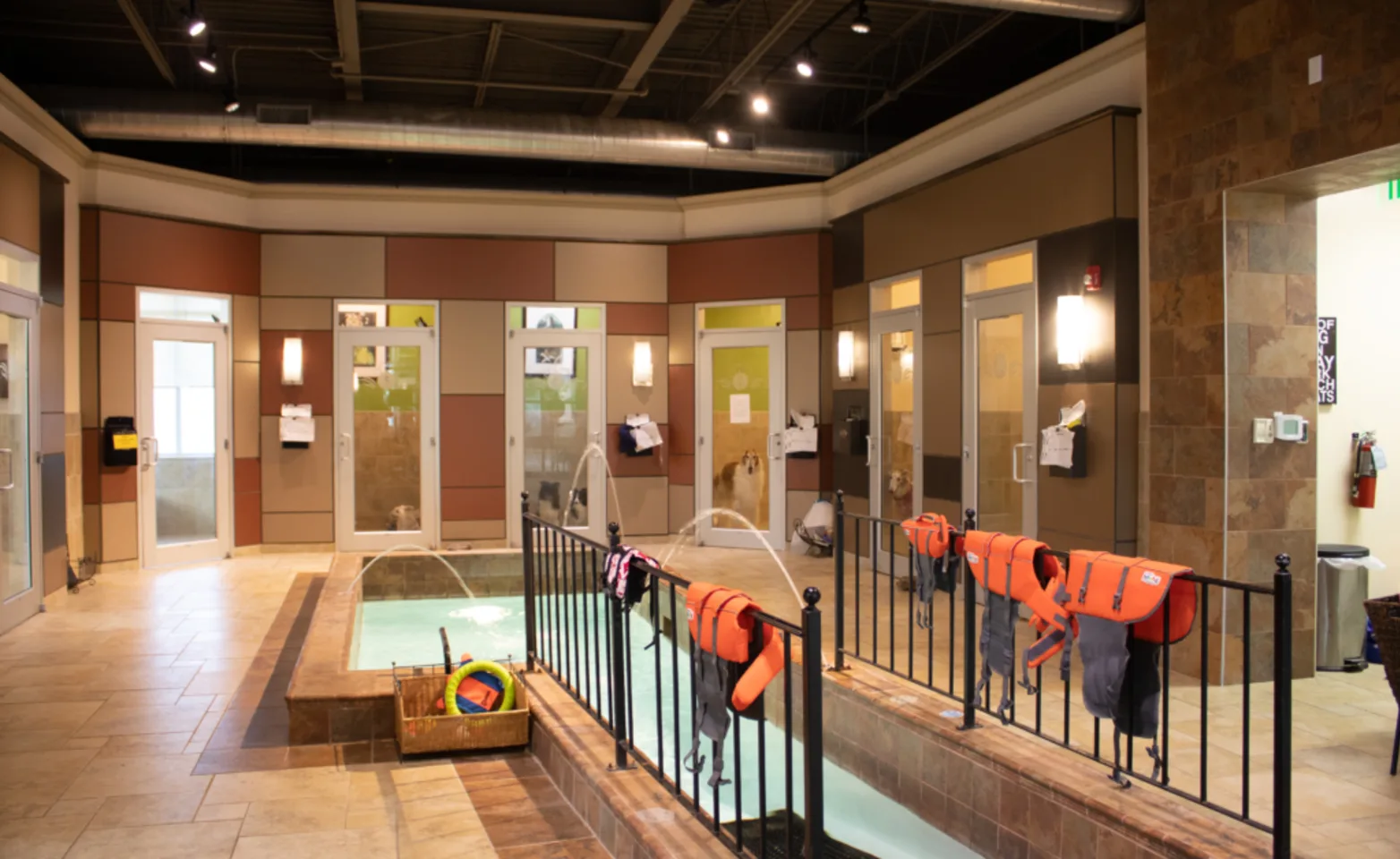 The Indoor Pool at the Barkley Pet Hotel & Day Spa in Cleveland, OH